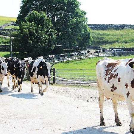 Fernydale Farm Bed & Breakfast Earl Sterndale Exterior foto
